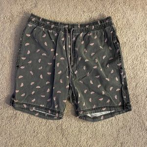 Men’s watermelon shorts